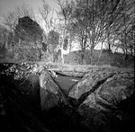 Ruine und Teich